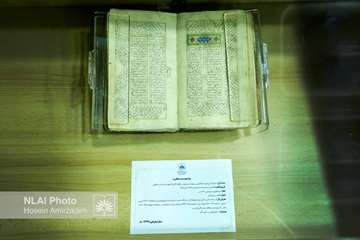 _R3A7951 copy